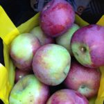 Apple Picking - Saturday Drive - 9/7/2013