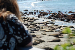 2-Year Wedding Anniversary Adventure in Cambria