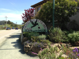 2-Year Wedding Anniversary Adventure in Cambria